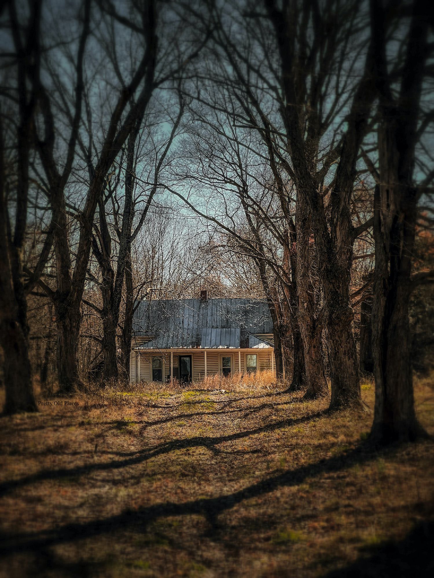 Abandoned House in the Woods
