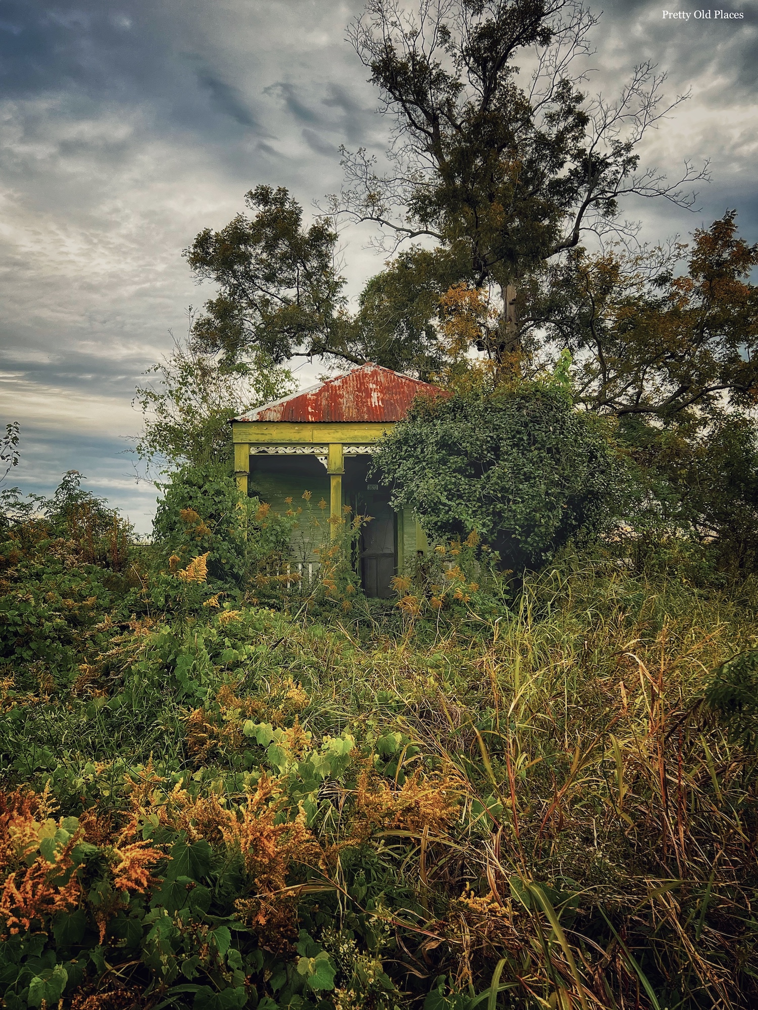 Abandoned Louisiana Shotgun House